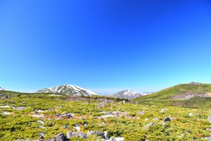 乗鞍岳（白馬乗鞍岳）頂上付近