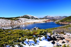 新雪と白馬大池