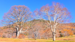 松川渓谷～山田牧場