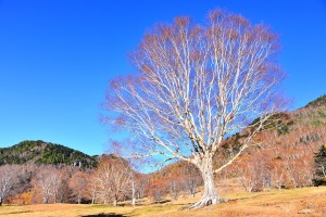 松川渓谷～山田牧場