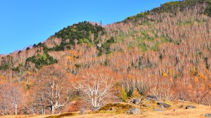 松川渓谷～山田牧場