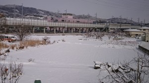 DSC_0493大雪の影響