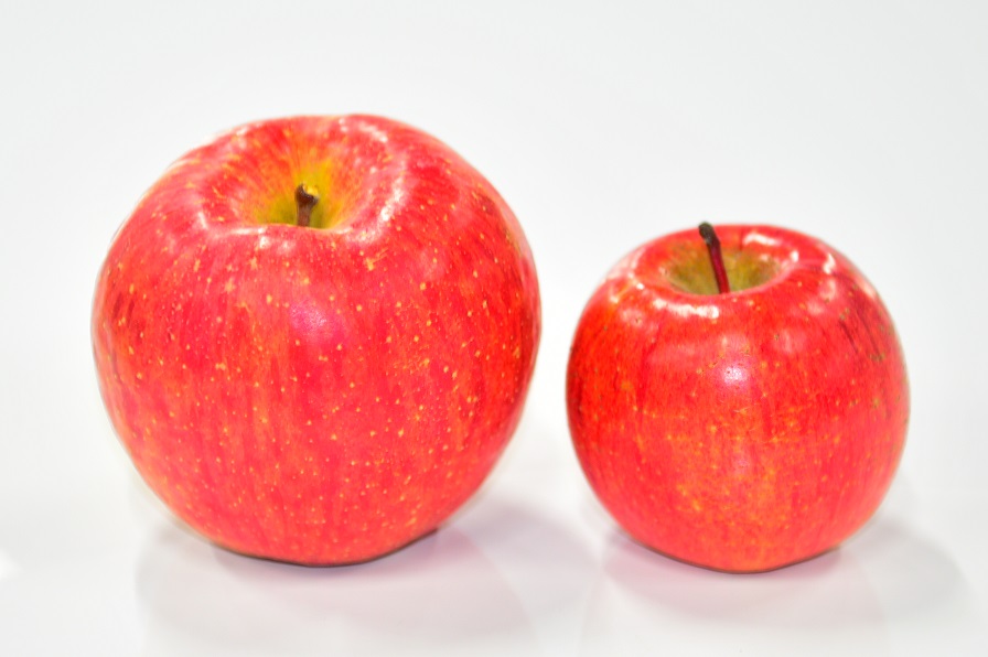 特大サンふじ承ります 信州りんごの成増農園 長野県長野市でサンフジ 信州りんご りんごジュースを通信販売