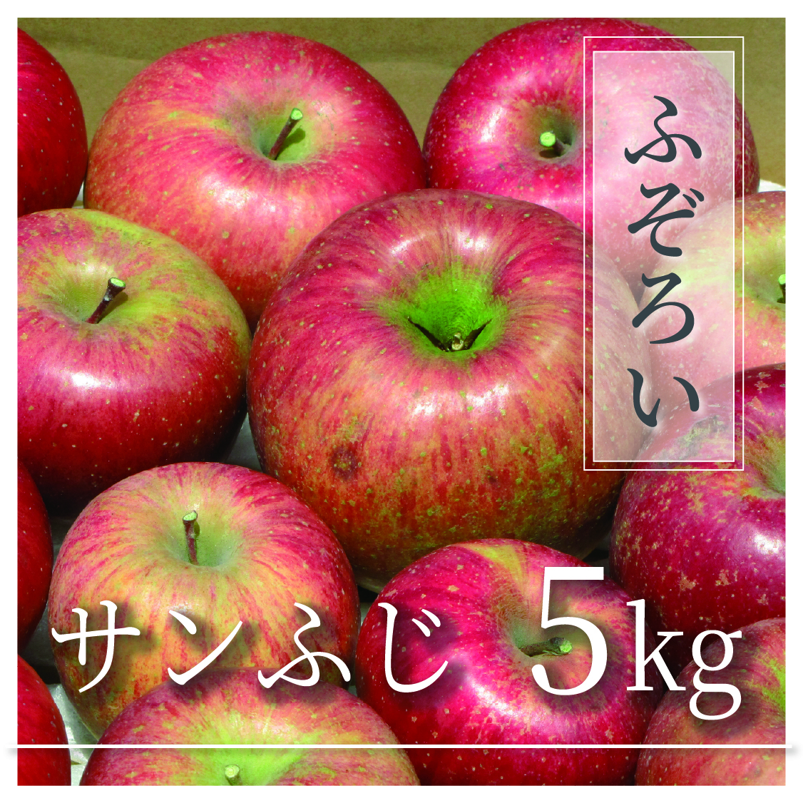 成増農園 / サンふじ ふぞろいの林檎たち® 5㎏(10～25個)