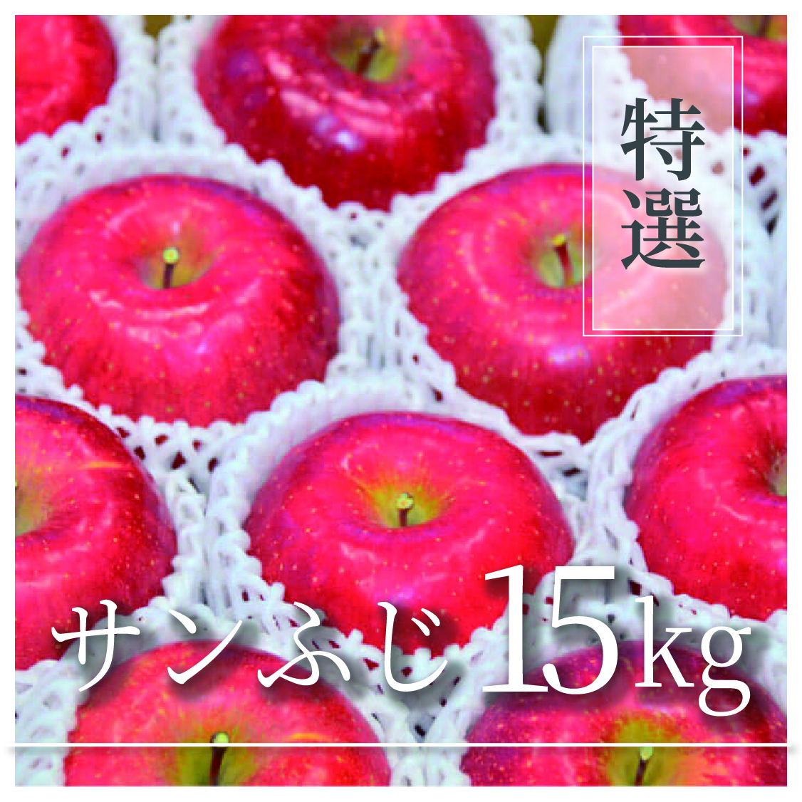 サンふじ 特選品 15kg(30～48個)