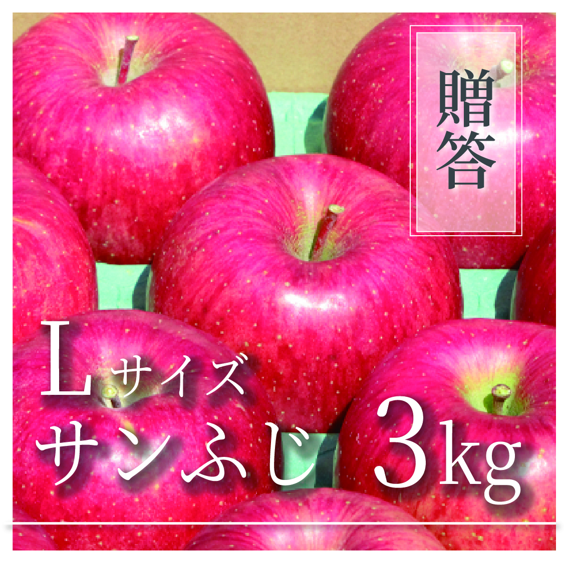 サンふじ ご贈答用 Lサイズ 3kg(6〜10個)