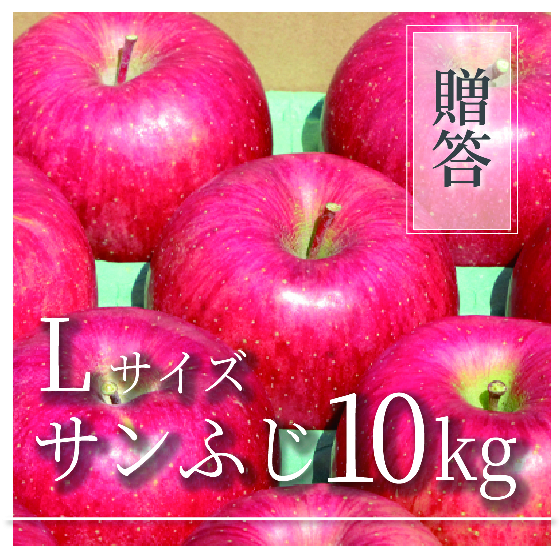 サンふじ ご贈答用 Lサイズ 10kg(18〜32個)