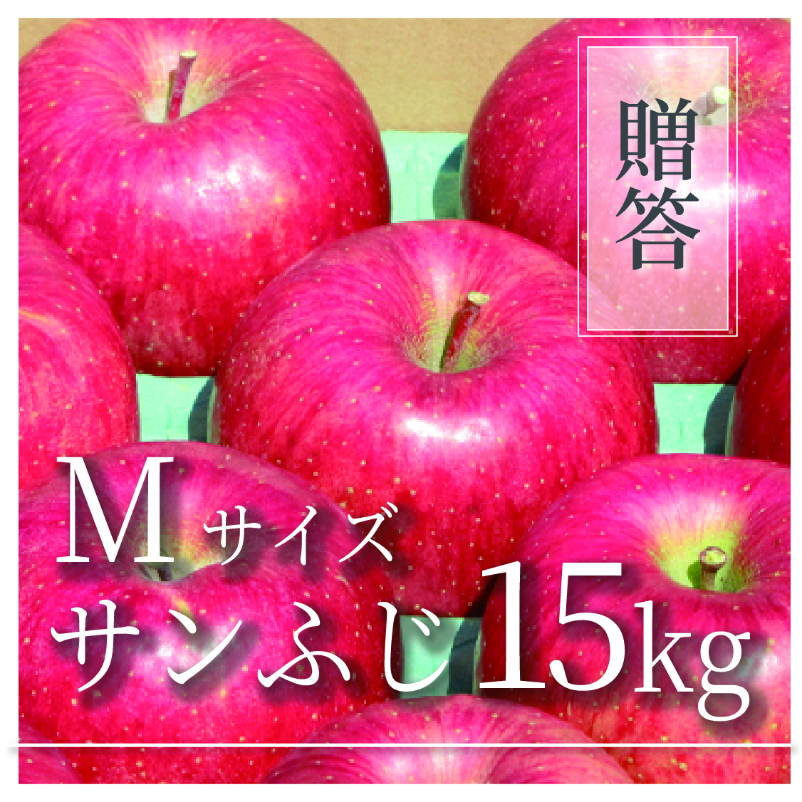 サンふじ ご贈答用 Mサイズ 15kg(54〜60個)