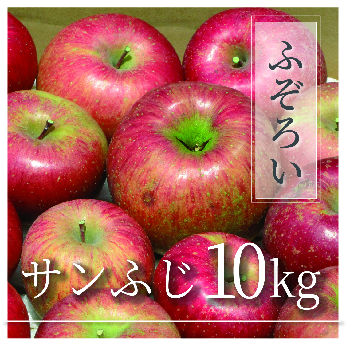 サンふじ ふぞろいの林檎たち® 10㎏(20～50個)