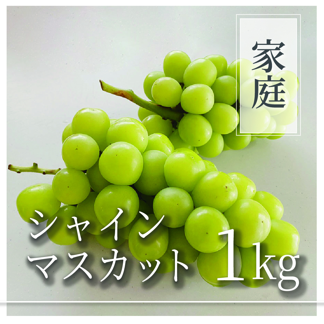 シャインマスカット ご家庭用 1kg