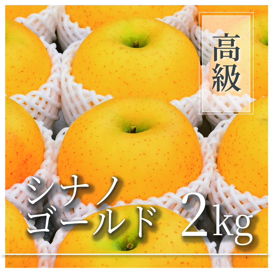 シナノゴールド 高級品 2kg(4～7個)