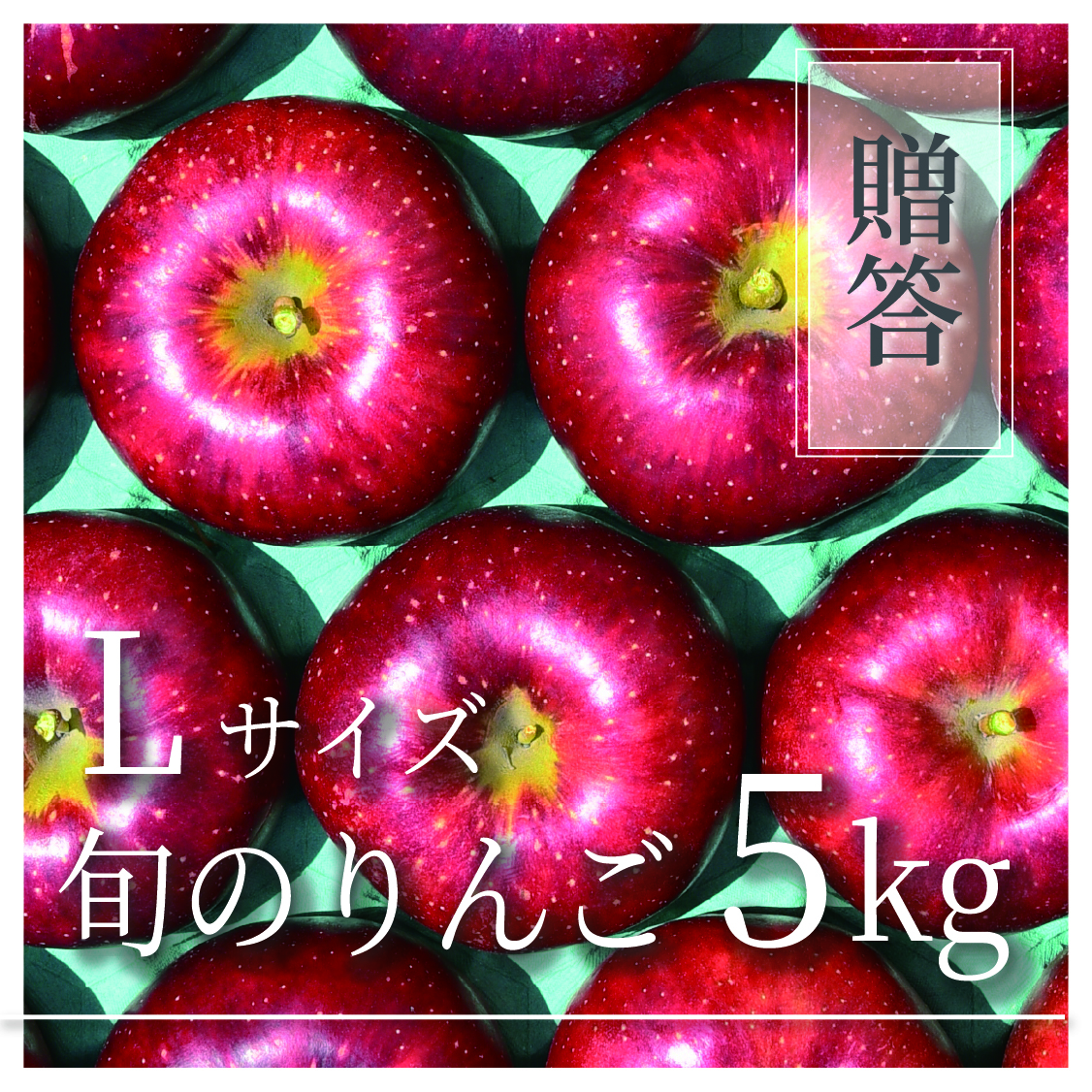 旬のりんご ご贈答用 Lサイズ 5kg(9〜16個)