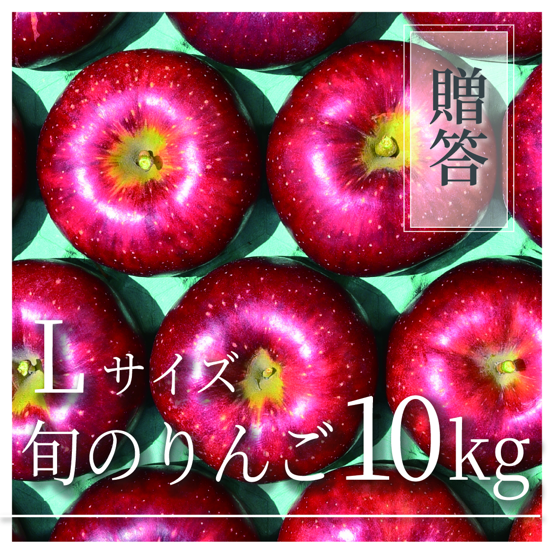 旬のりんご ご贈答用 Lサイズ 10kg(18〜32個)