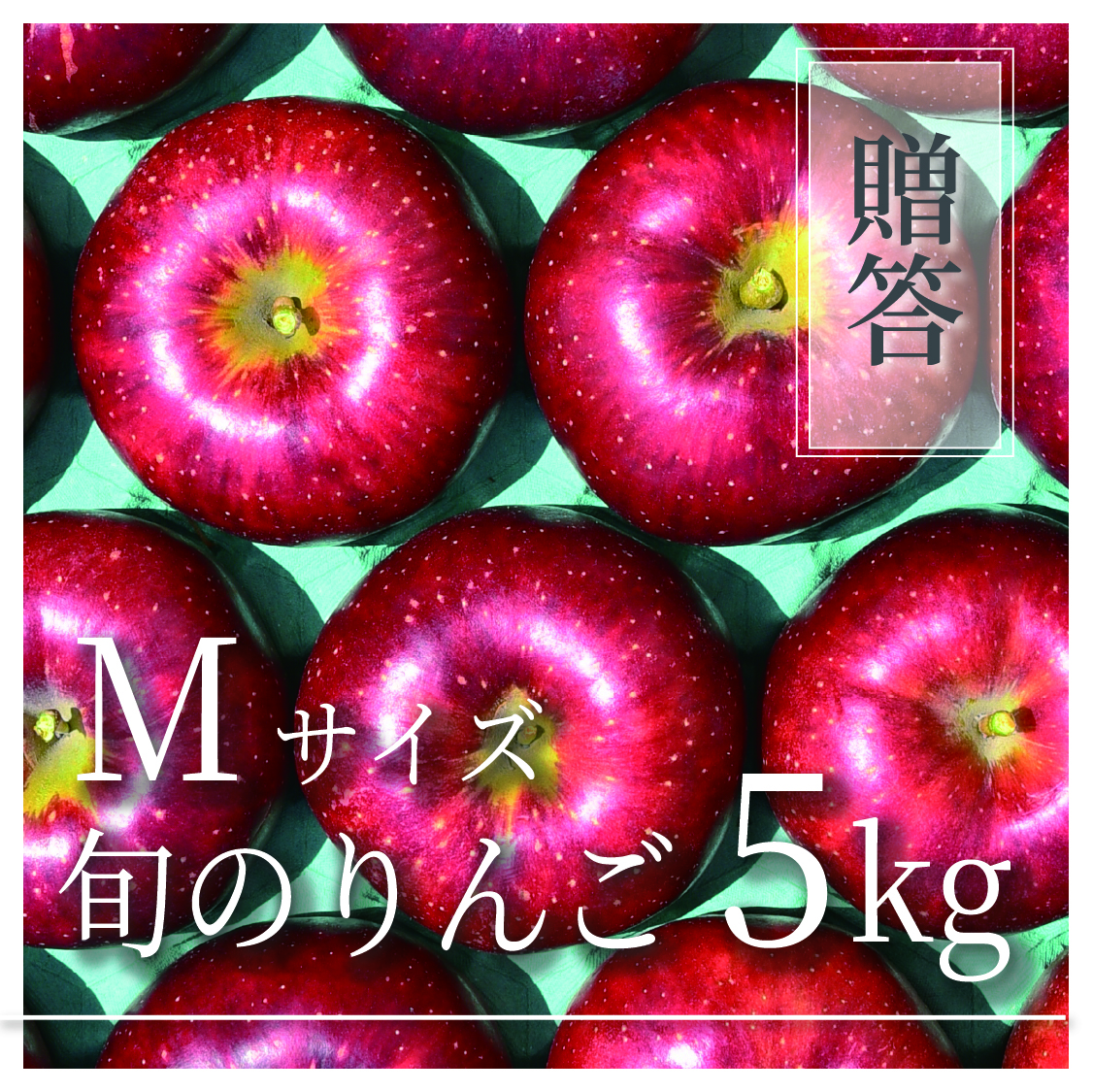 旬のりんご ご贈答用 Mサイズ 5kg(18〜25個)