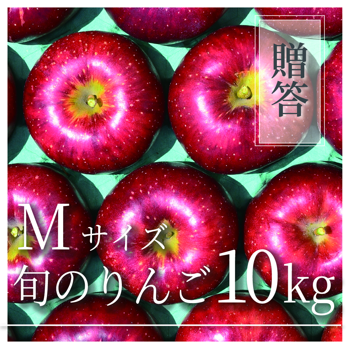 旬のりんご ご贈答用 Mサイズ 10kg(36〜50個)