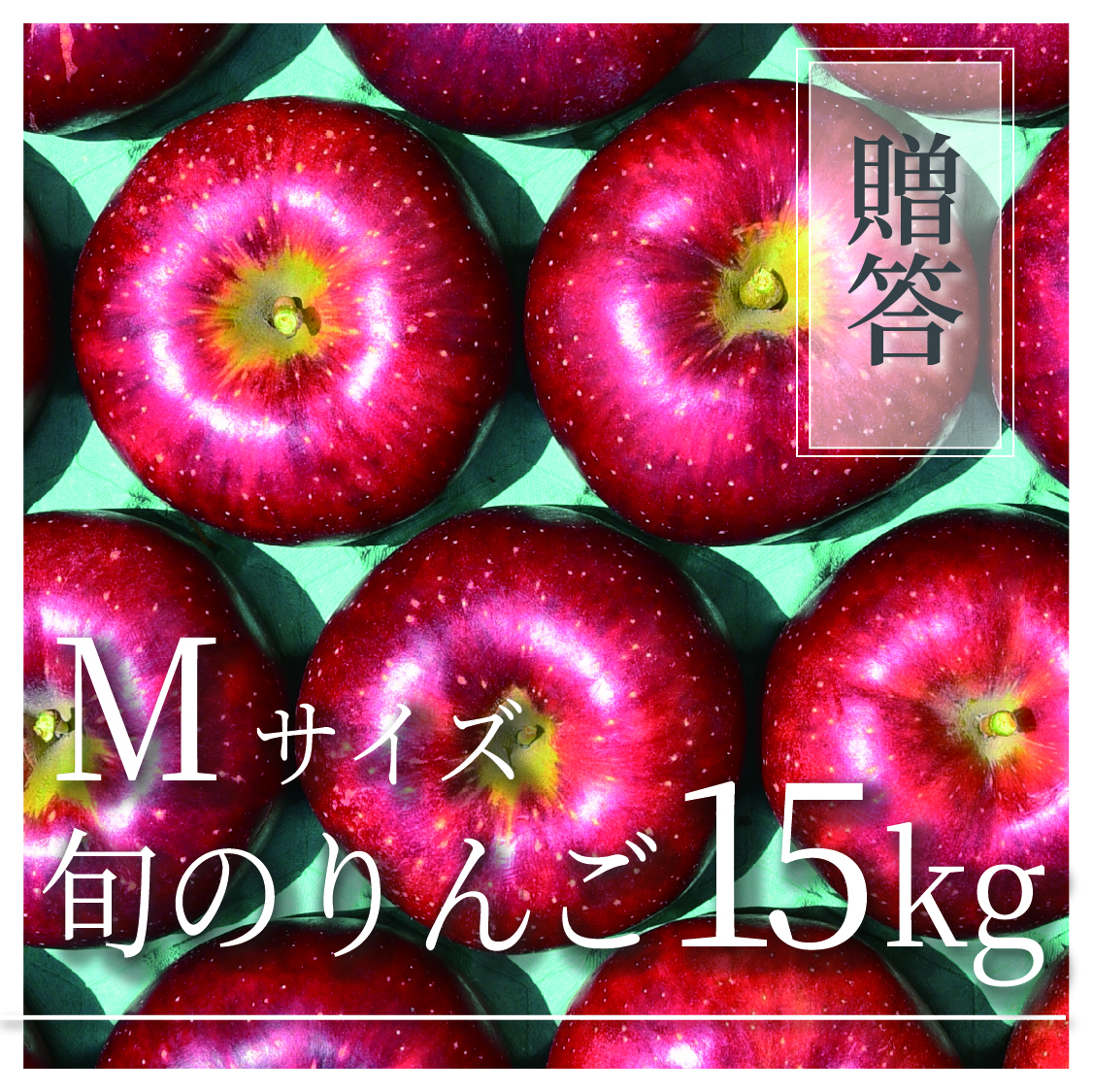 旬のりんご ご贈答用 Mサイズ 15kg(54〜75個)