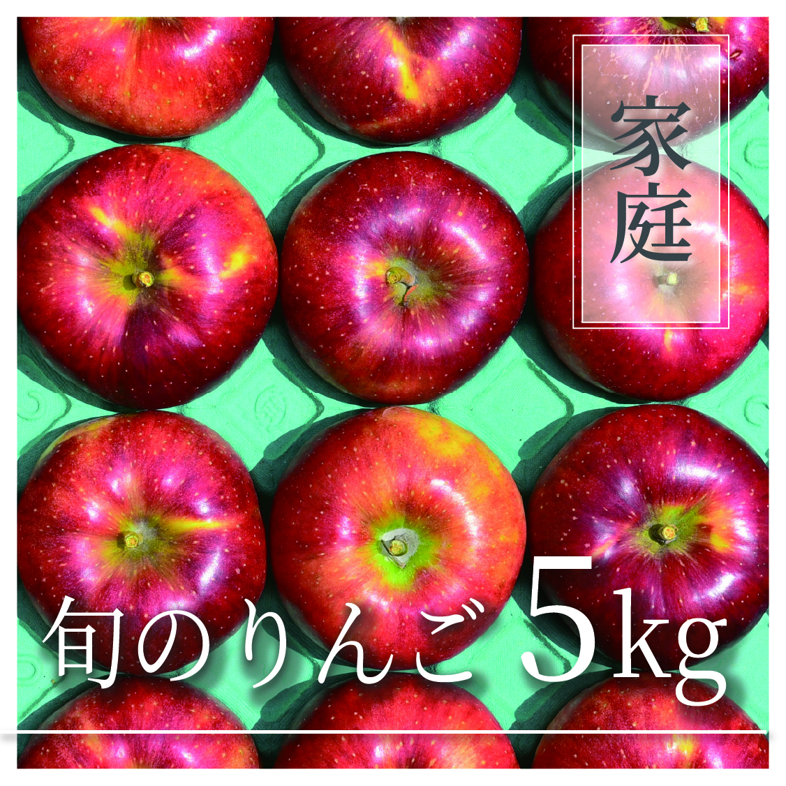 旬のりんご ご家庭用 5kg(9〜25個)