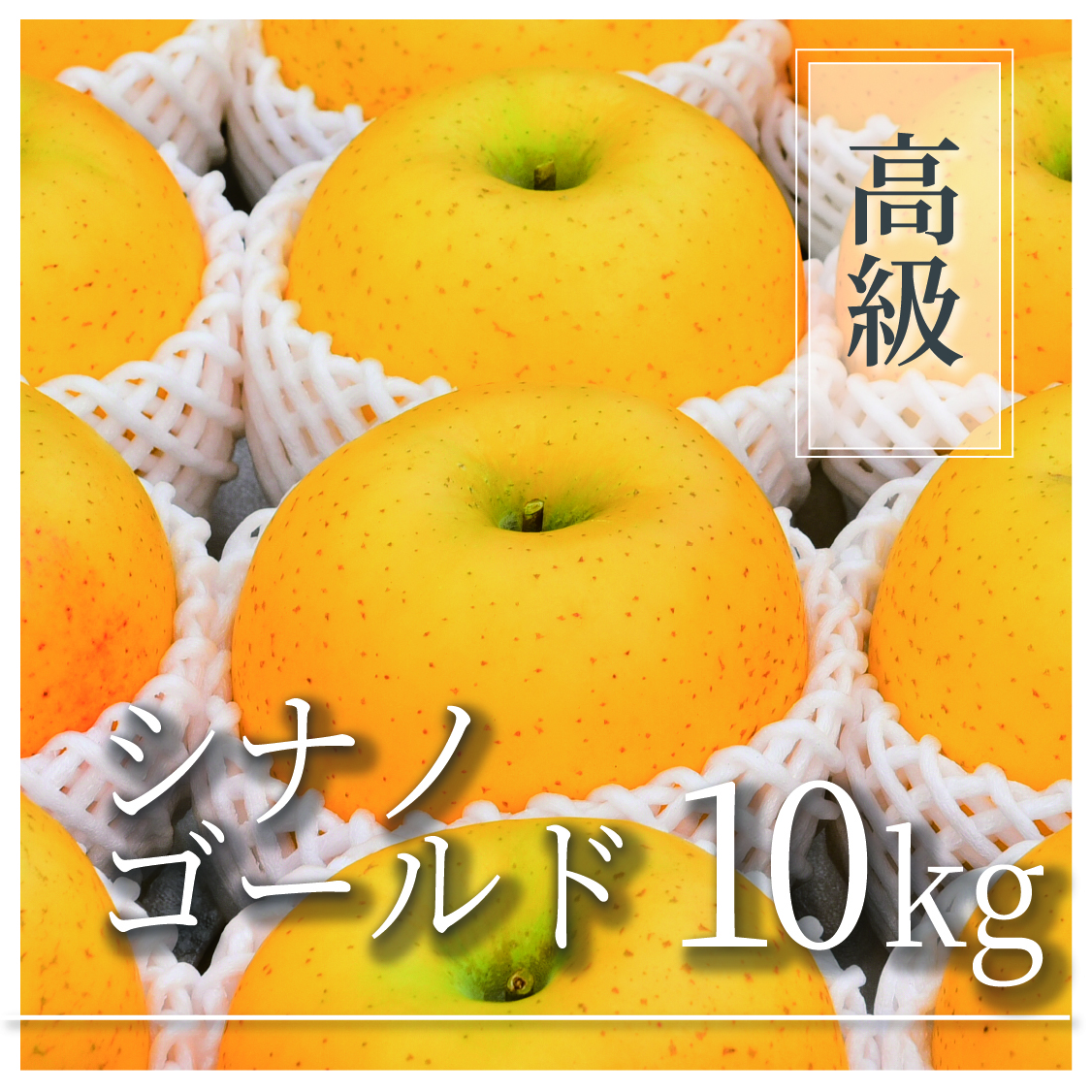 シナノゴールド 高級品 10kg(20～32個)