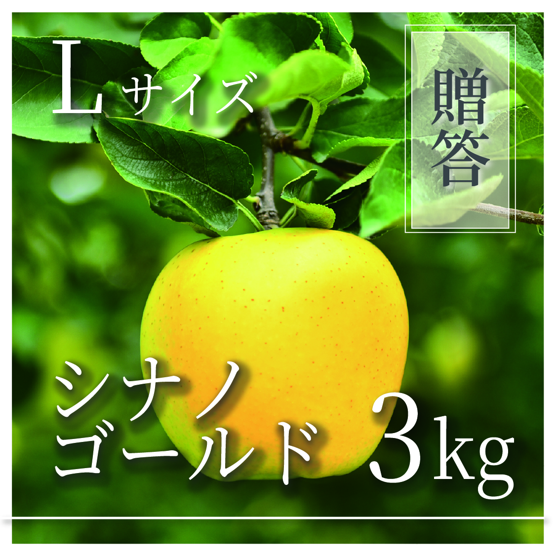 シナノゴールド ご贈答用 Lサイズ 3kg(6〜9個)