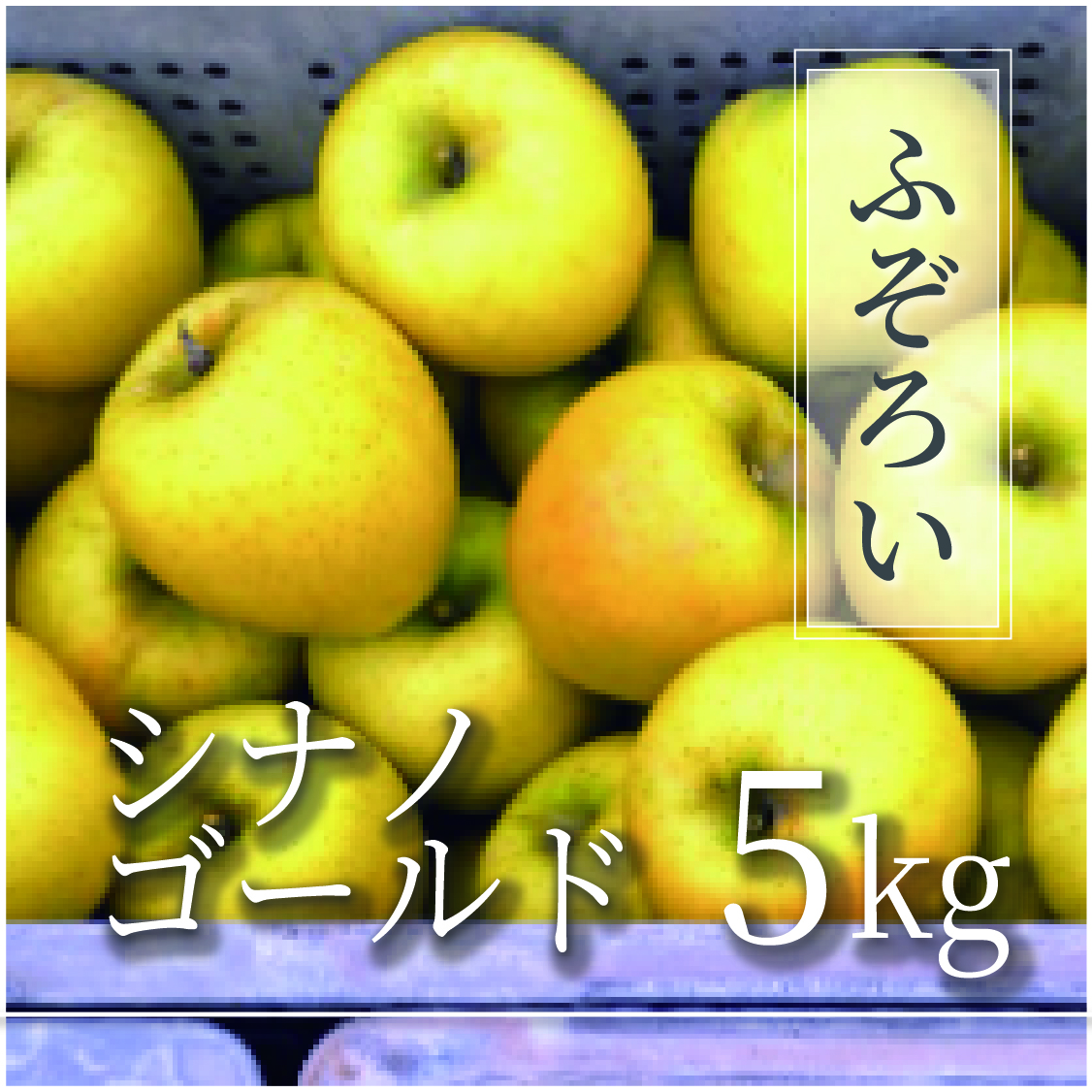 シナノゴールド ふぞろいの林檎たち® 5kg(10～25個)