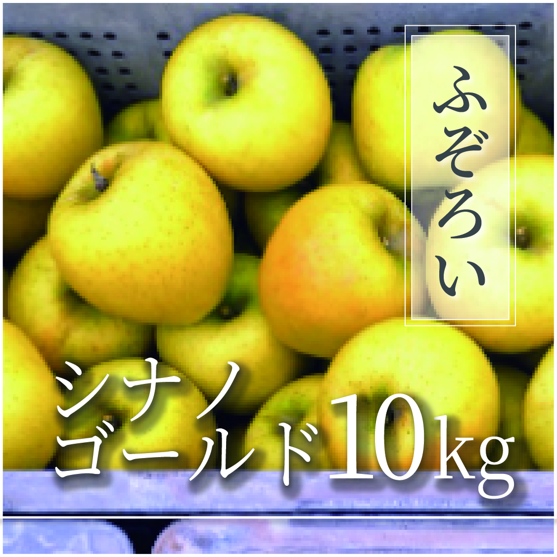シナノゴールド ふぞろいの林檎たち® 10kg(20～50個)