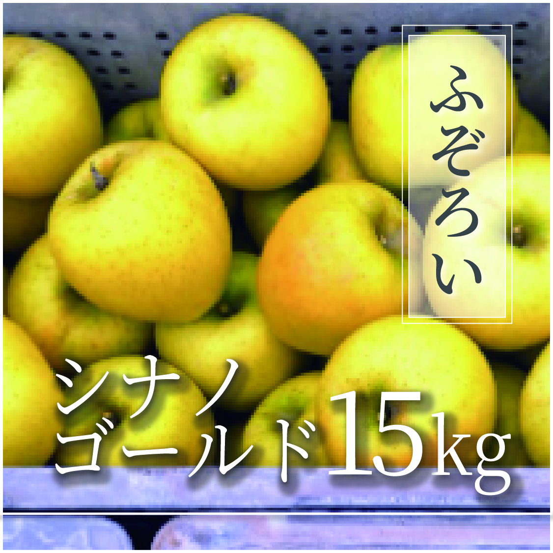 シナノゴールド ふぞろいの林檎たち® 15kg(30～75個)