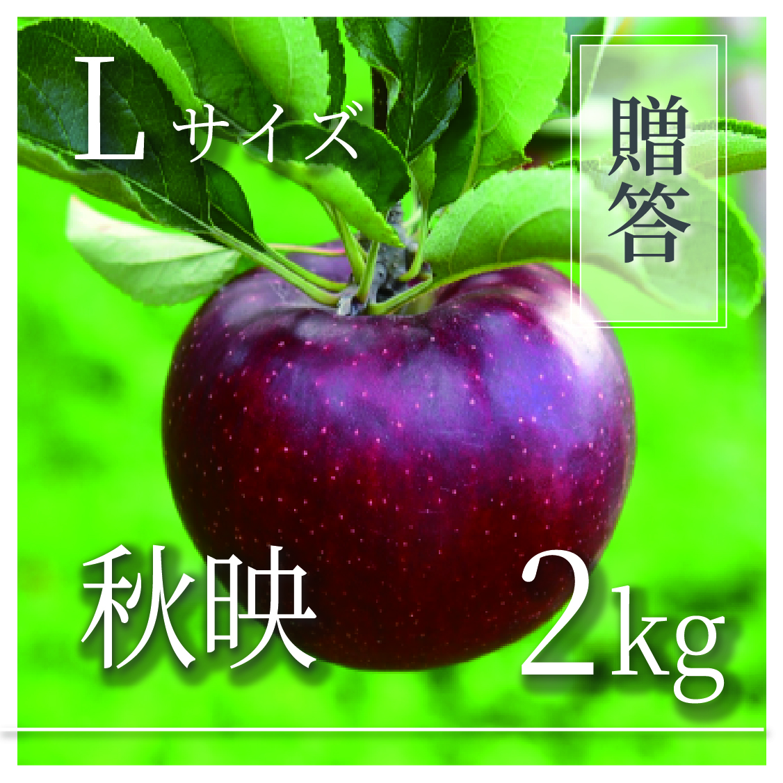 秋映 ご贈答用 Lサイズ 2kg(5〜7個)