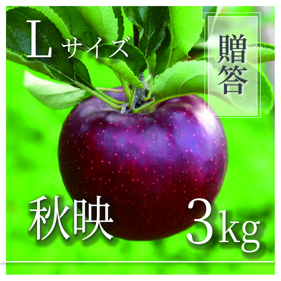 秋映 ご贈答用 Lサイズ 3kg(6〜9個)