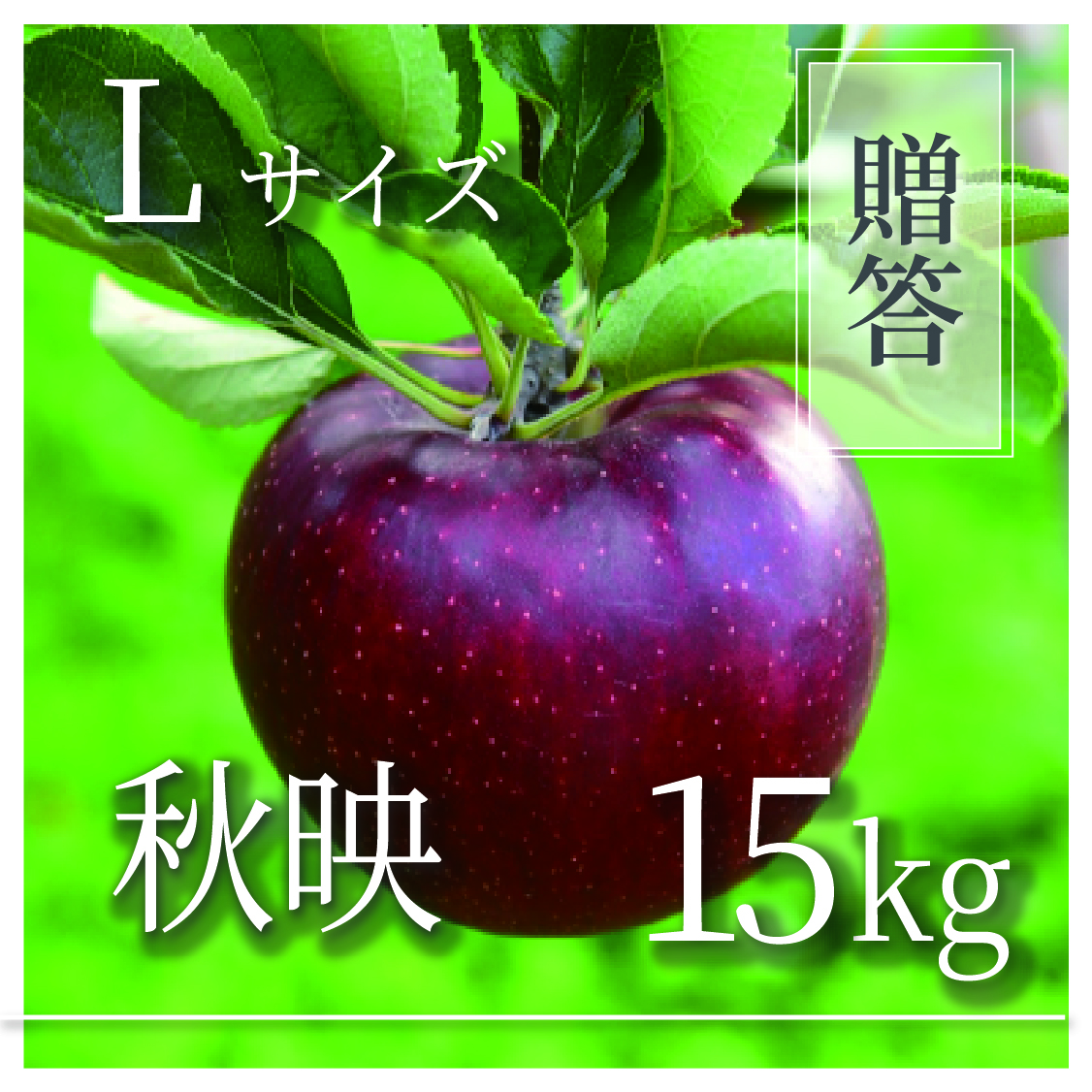 秋映 ご贈答用 Lサイズ 15kg(27〜48個)