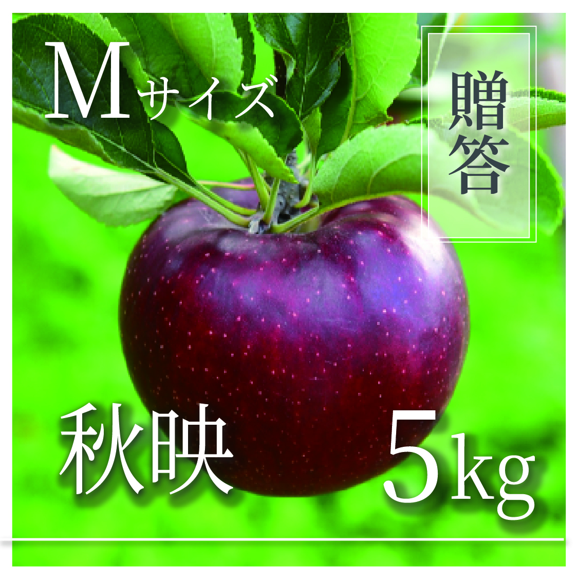 秋映 ご贈答用 Mサイズ 5kg(18〜20個)