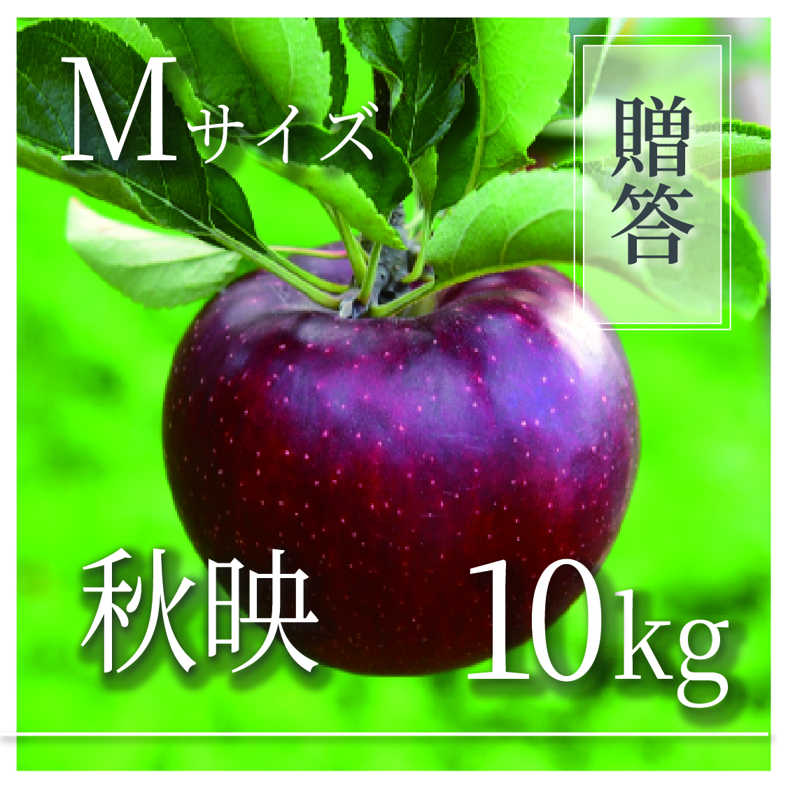 秋映 ご贈答用 Mサイズ 10kg(36〜40個)