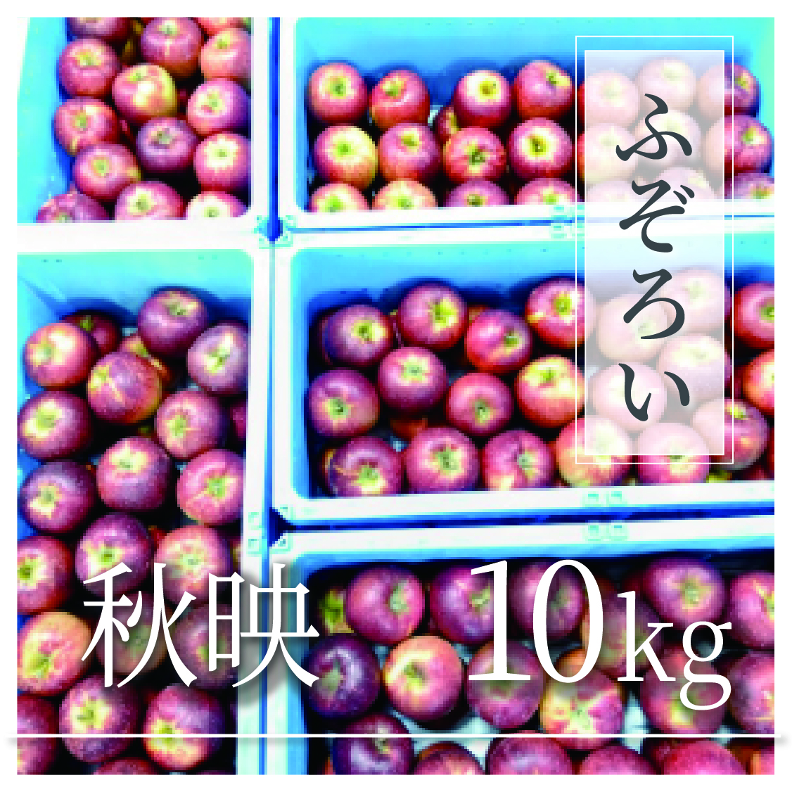 秋映 ふぞろいの林檎たち® 10kg(20〜50個)