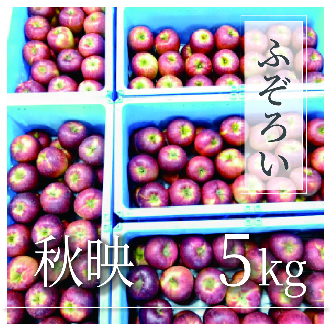 秋映 ふぞろいの林檎たち® 5kg(10〜25個)