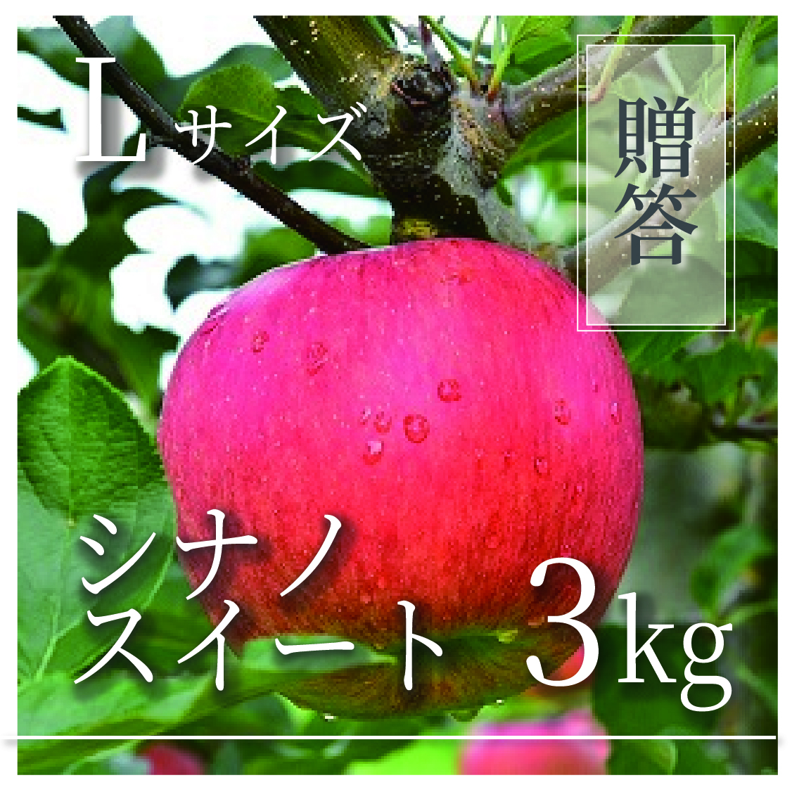 シナノスイート ご贈答用 Lサイズ 3kg(6〜9個)