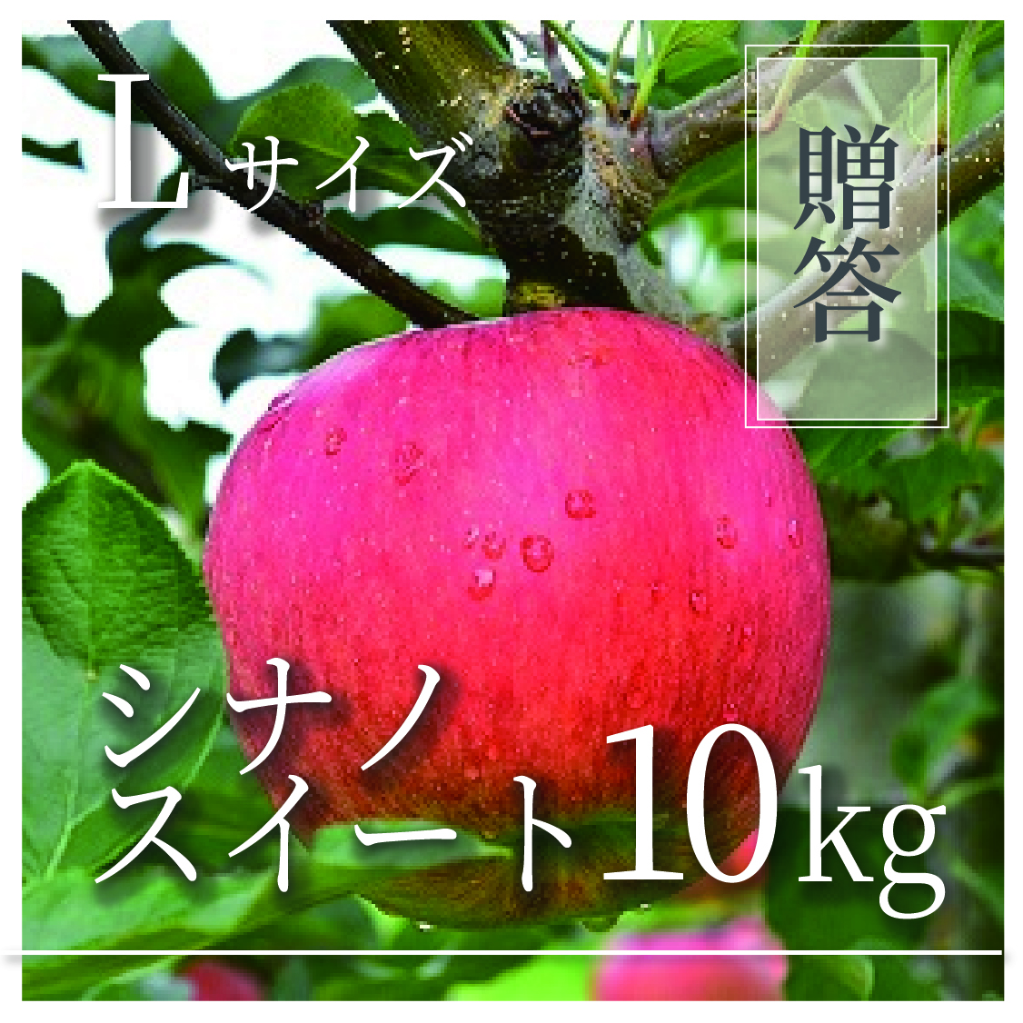 シナノスイート ご贈答用 Lサイズ 10kg(18〜32個)