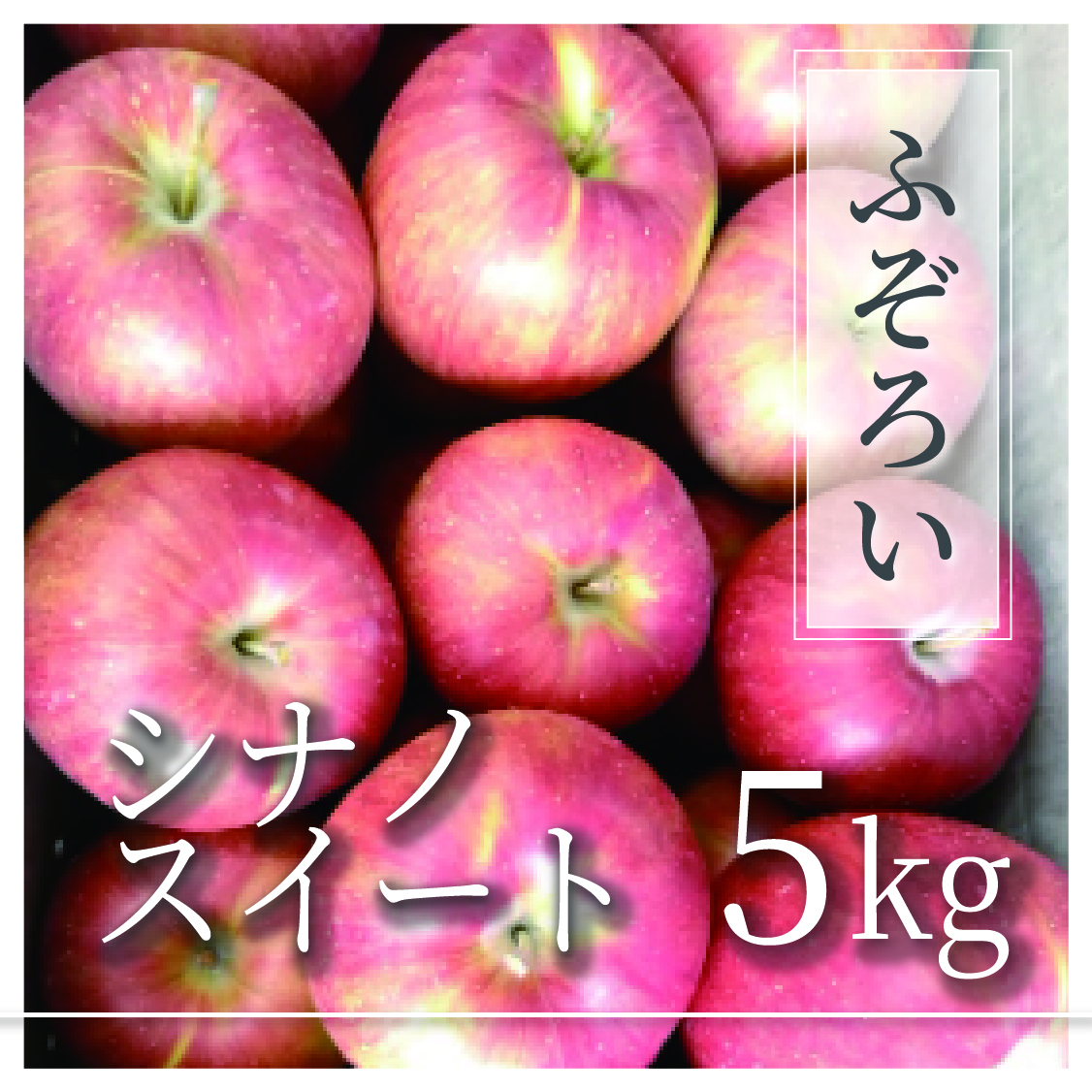 シナノスイート ふぞろいの林檎たち® 5kg(10〜25個)