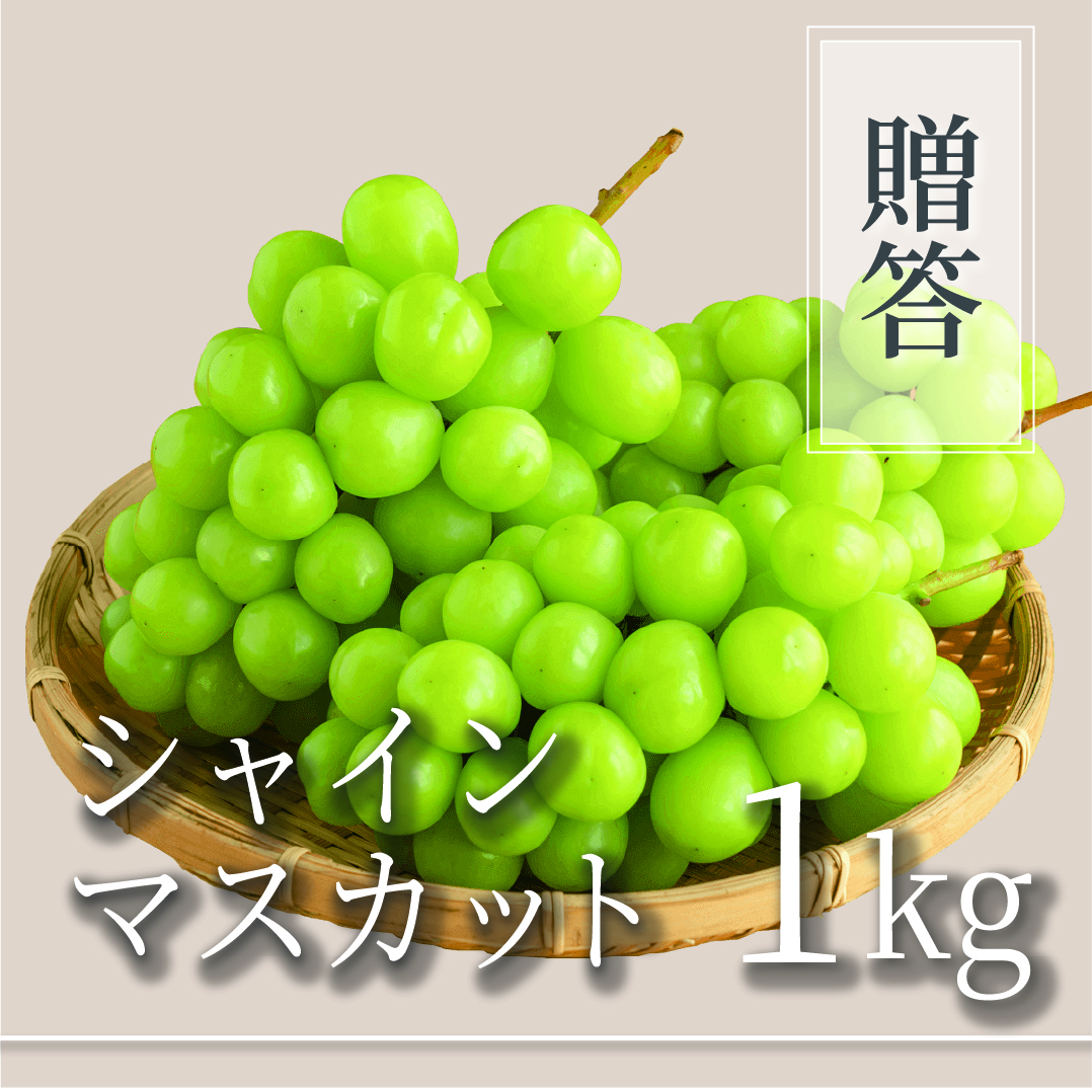 シャインマスカット ご贈答用 1kg
