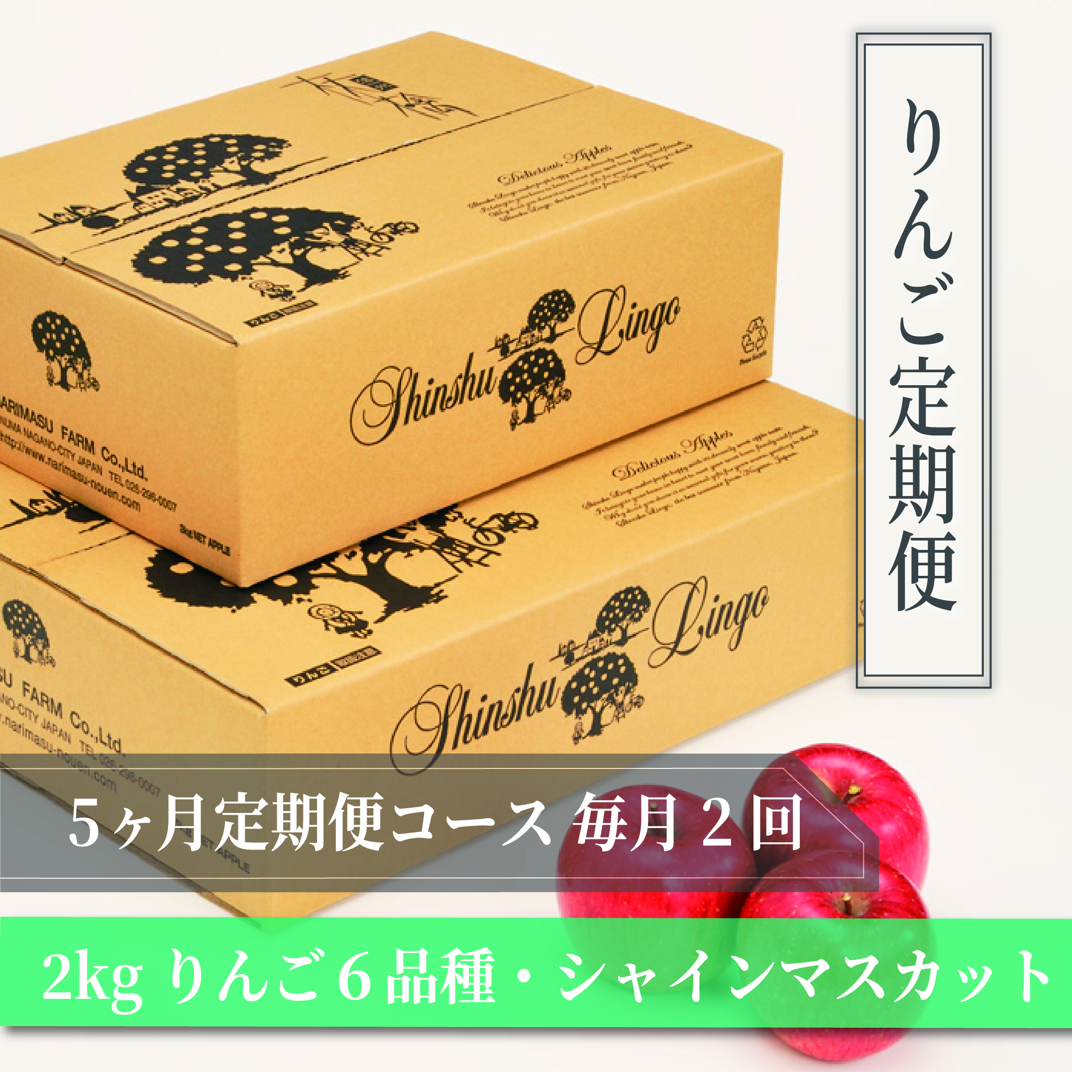 【りんご定期便】5ヶ月定期便コース 2kg りんご６品種・シャインマスカット毎月２回