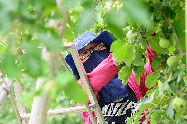 成増農園 女性社員